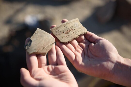 Prevention of Illegal Movement of Cultural Property through the State Border of Ukraine