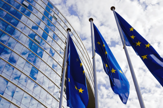 European Commission Adopts Regulation on Export Authorisation