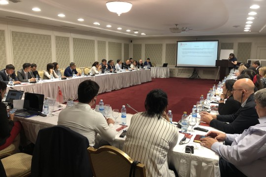 Improving the System of Customs Risk Management in Kazakhstan