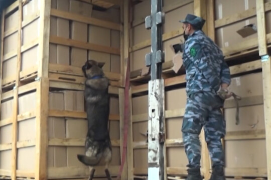 Azerbaijan Customs Revealed more than 730kg of Drugs