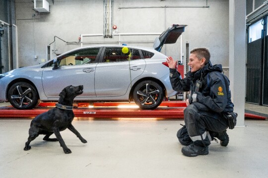 Norwegian TV Series on Customs Goes on with Season 2